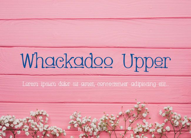 Whackadoo Upper example